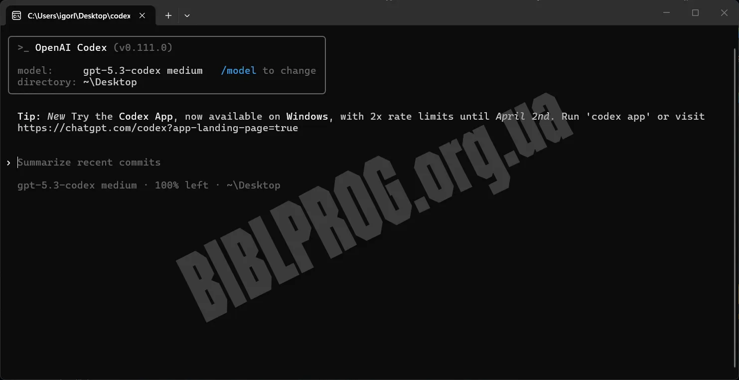 Скриншот Codex CLI