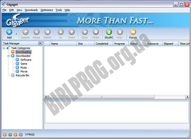 Скриншот Gigaget Download Manager