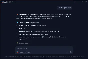 Microsoft Copilot