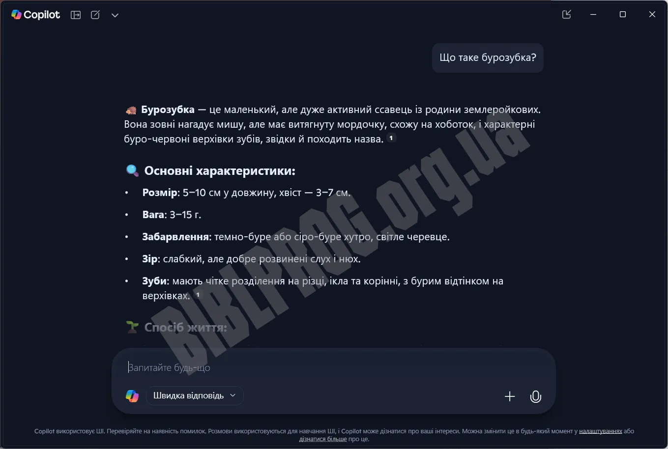 Скриншот Microsoft Copilot