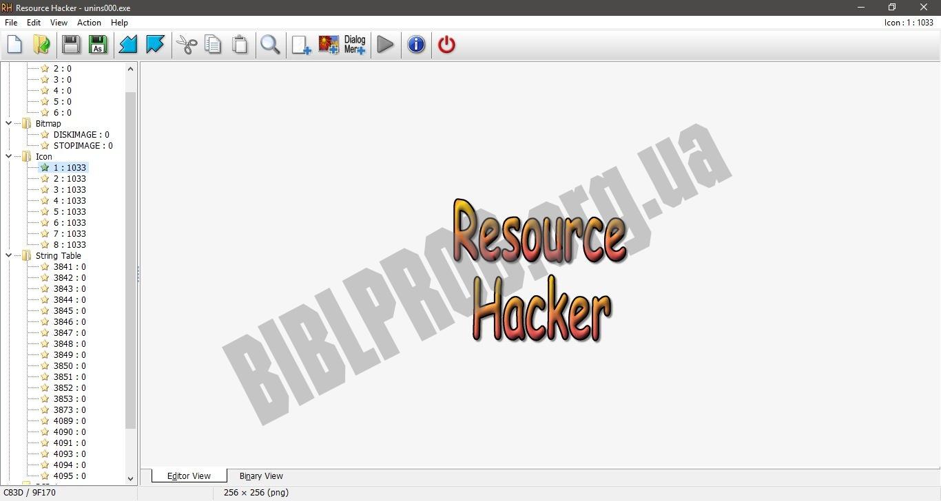 Скриншот Resource Hacker