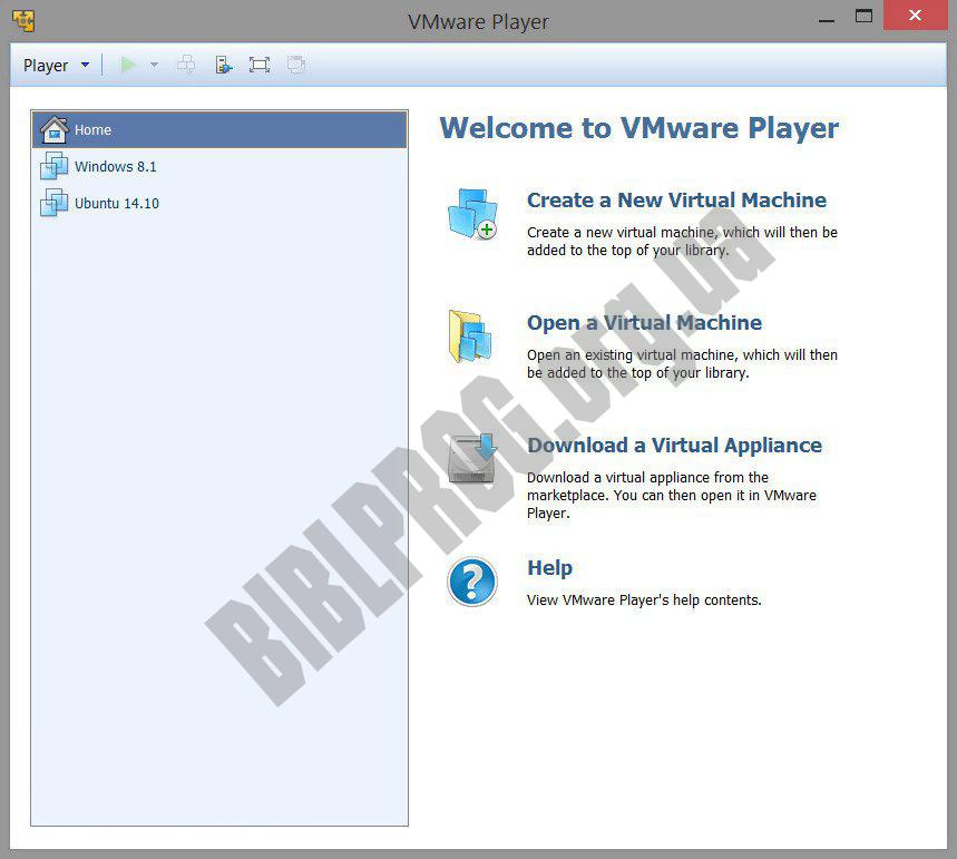 Скриншот VMware Player